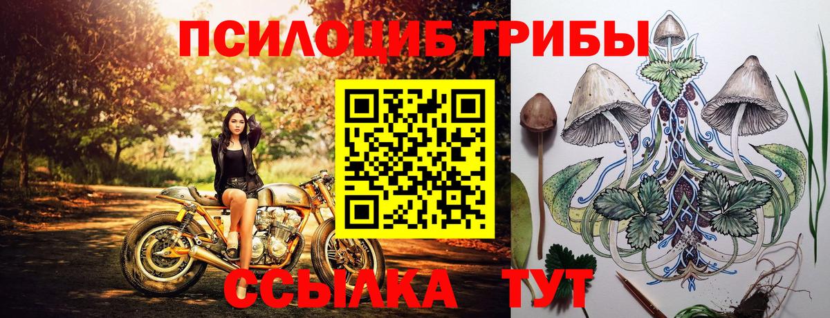 Галлюциногенные грибы Magic Shrooms Петропавловск-Камчатский